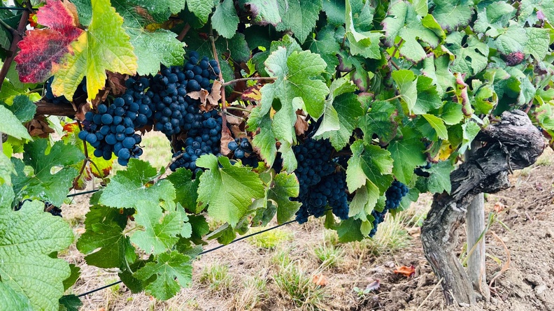 22-09-10 17-33-00 1958.jpeg